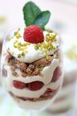 A layered dessert with creamy yoghurt, raspberries and chocolate cookies
