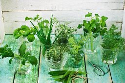 Various herbs in glasses of water (parsley, dill, oregano, thyme, sage, rosemary, coriander, basil) on a wooden surface