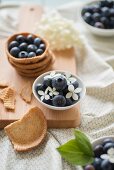 Shortcrust pastry with blueberries and a bowl of blueberries and hydrangea flowers