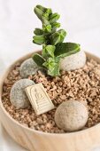 Asiatisches Arrangement mit Crassula, Steinen, Buddhafigur und Korkstückchen in einer Holzschale