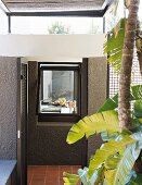 Palm tree outside corner of modern house with view into kitchen through window