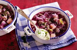 Red cabbage soup with onions and beef