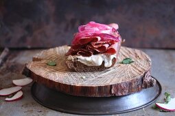 A pastrami, red onion and radish sandwich