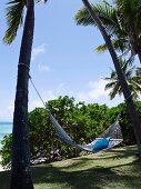 Hammock hung between palm trees, Mauritius