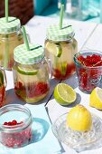 Limonade mit Limetten, Zitronen und roten Johannisbeeren