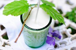 A glass of hazelnut milk with a hazelnut sprig