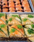 Baklava (filo pastries filled with nuts in syrup, Turkey)