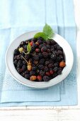 A bowl of blackberries