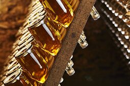 Bottles of champagne on a remuage rack (Schlumberger champagne producer's, Vienna, Austria)