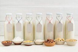 Almond milk, coconut milk, soya milk, rice milk, hazelnut milk, cashew nut milk and oat milk