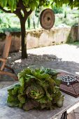Frischer Salatkopf auf Gartentisch