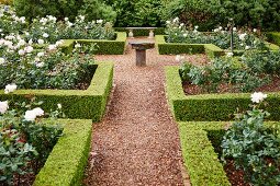 Gardens with geometric, clipped hedges around English-style rose beds