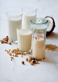 Veganer Milchersatz in Gläsern und Flasche