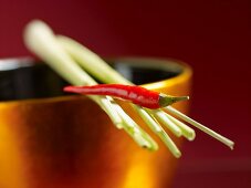 An arrangement of oriental spices: a red chilli pepper and lemongrass on a golden bowl