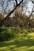 Gartenanlage mit Bäumen und gemähtem Rasenstreifen im Sonnenlicht