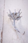 A eucalyptus sprig sprayed with silver glitter