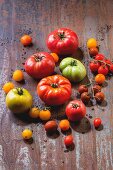 Various types of tomatoes on a metal surface