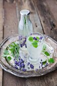 A gin and tonic with lavender flowers