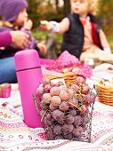Grapes and a hot drink in a thermos flask for an autumn family picnic