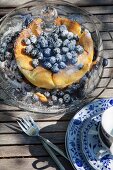 Blueberry cake under glass cover on garden table