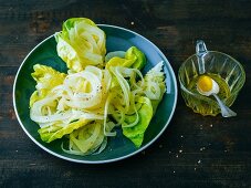 Grüner Blattsalat mit Fenchel & Vinaigrette