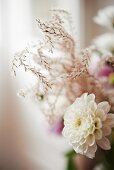 White dahlia against blurred background