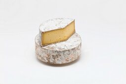 Tomme de belledonne (soft cheese from Isère, France)