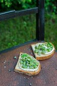 Bruschetta topped with broad beans, goat's cheese, olive oil and lavender flowers