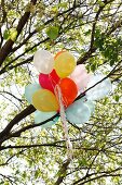 Ein Bündel Luftballons in Baum hängend
