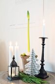 Still-life arrangement of amaryllis bud, candles and paper tree
