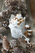 Cinnamon star biscuits in a white metal container surrounded by snow-dusted pine cones