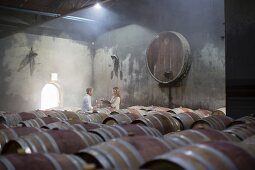 Two people tasting wine in a barrique cellar (Cape Town, South Africa)