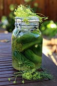 A jar of gherkins on a garden table with dill flowers and onions