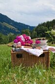 Bartnelkenstrauß und Geschirr auf Picknickkorb vor sommerlicher Berglandschaft