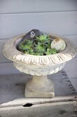 Succulents planted in antique stone urn decorated with engraved pebble