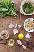 Dandelion leaves, basil leaves, walnuts, garlic, roasted pine nuts and lemon on a rustic wooden surface