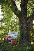 Simple wooden bench and old milk churn painted red next to trunk of large ash tree