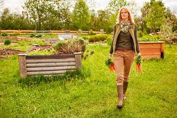 A woman in a garden carrying freshly harvested carrots