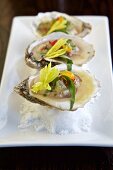 Oysters on a bed of salt