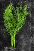 A bunch of fresh dill on a dark surface