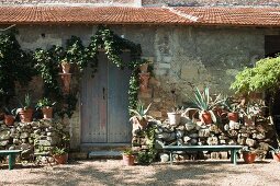 Potted agaves on half-height stone wall outside rustic stone house