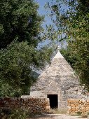 Sanierungsbedürftiger, apulischer Trullo mit vorgelagerter Natursteinmauer unter alten Olivenbäumen