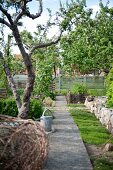 Garden path flanked by fruit trees and low stone wall
