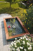 DIY-Wasserbecken mit Wassserspiel und Wasserpflanzen von oben betrachtet in sommerlichem Garten