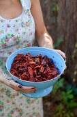 A woman holding dried tomatoes in a colander