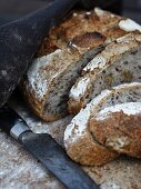 Sliced walnut bread (close-up)