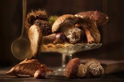 Fresh porcini mushrooms with chestnuts and autumnal leaves