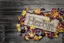 Nagelbild mit Aufschrift Herbst mit buntem Laub