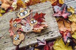 Owls painted on pressed autumn leaves