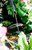 Water trickling out of pipe into mossy stone basin in garden